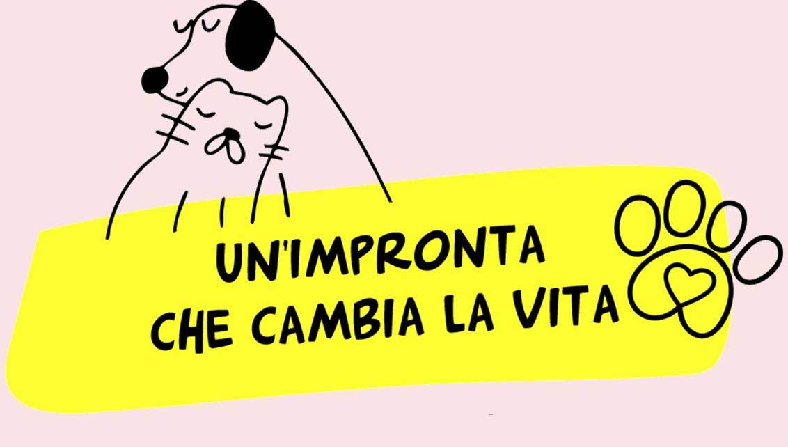 Home page di ALFA Associazione Love For Animals OdV